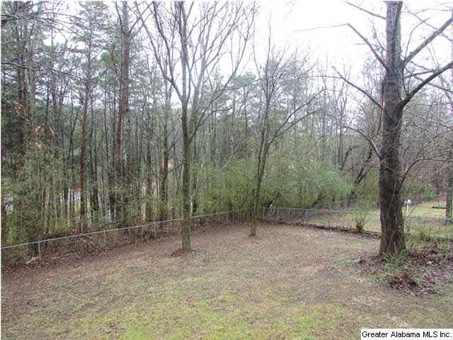 5867 Pendleton Circle Pinson, AL 35126 - Photo 10 of 17