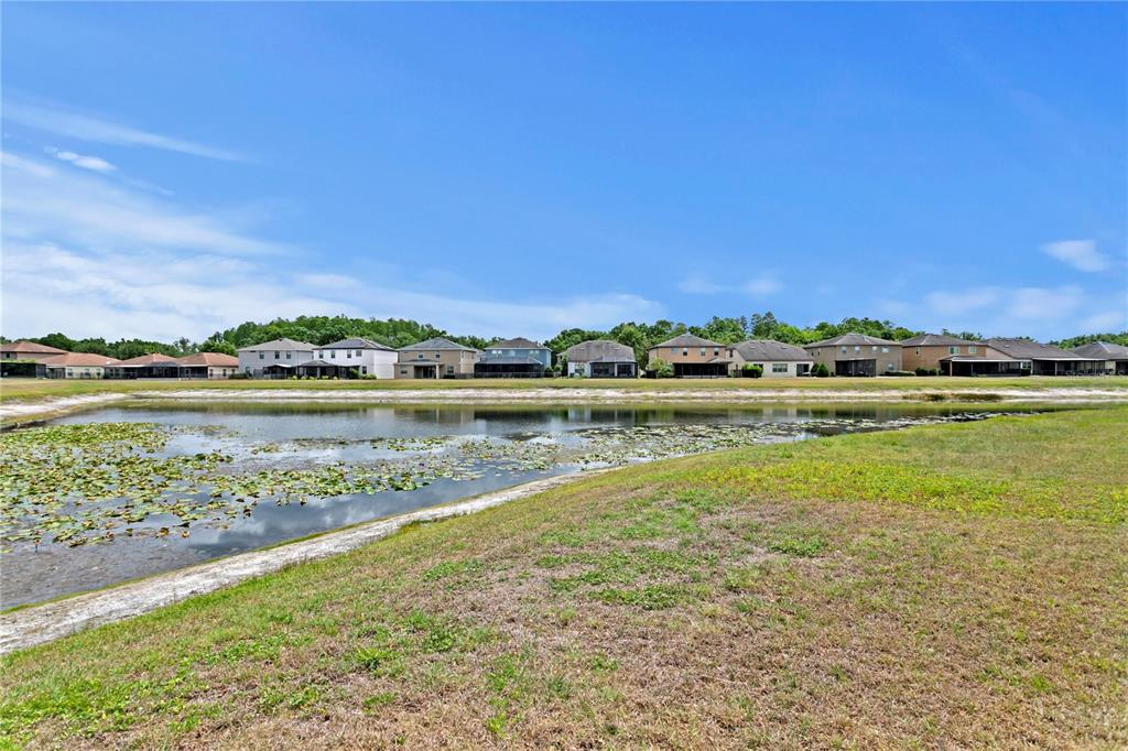 2837 Maple Brook Loop Lutz, FL 33558 - Photo 39 of 65