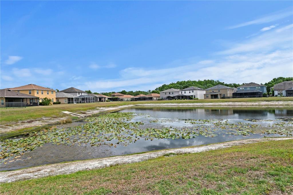 2837 Maple Brook Loop Lutz, FL 33558 - Photo 40 of 65