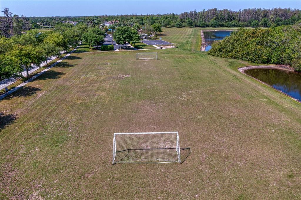 2837 Maple Brook Loop Lutz, FL 33558 - Photo 63 of 65
