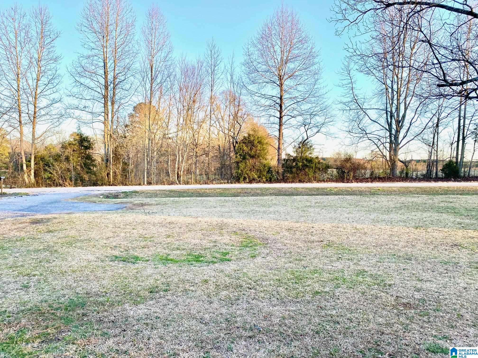14715 County Road 10 Ranburne, AL 36273 - Photo 11 of 37