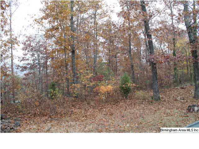 2649 Rabbit Branch Road Cropwell, AL 35054 - Photo 24 of 27