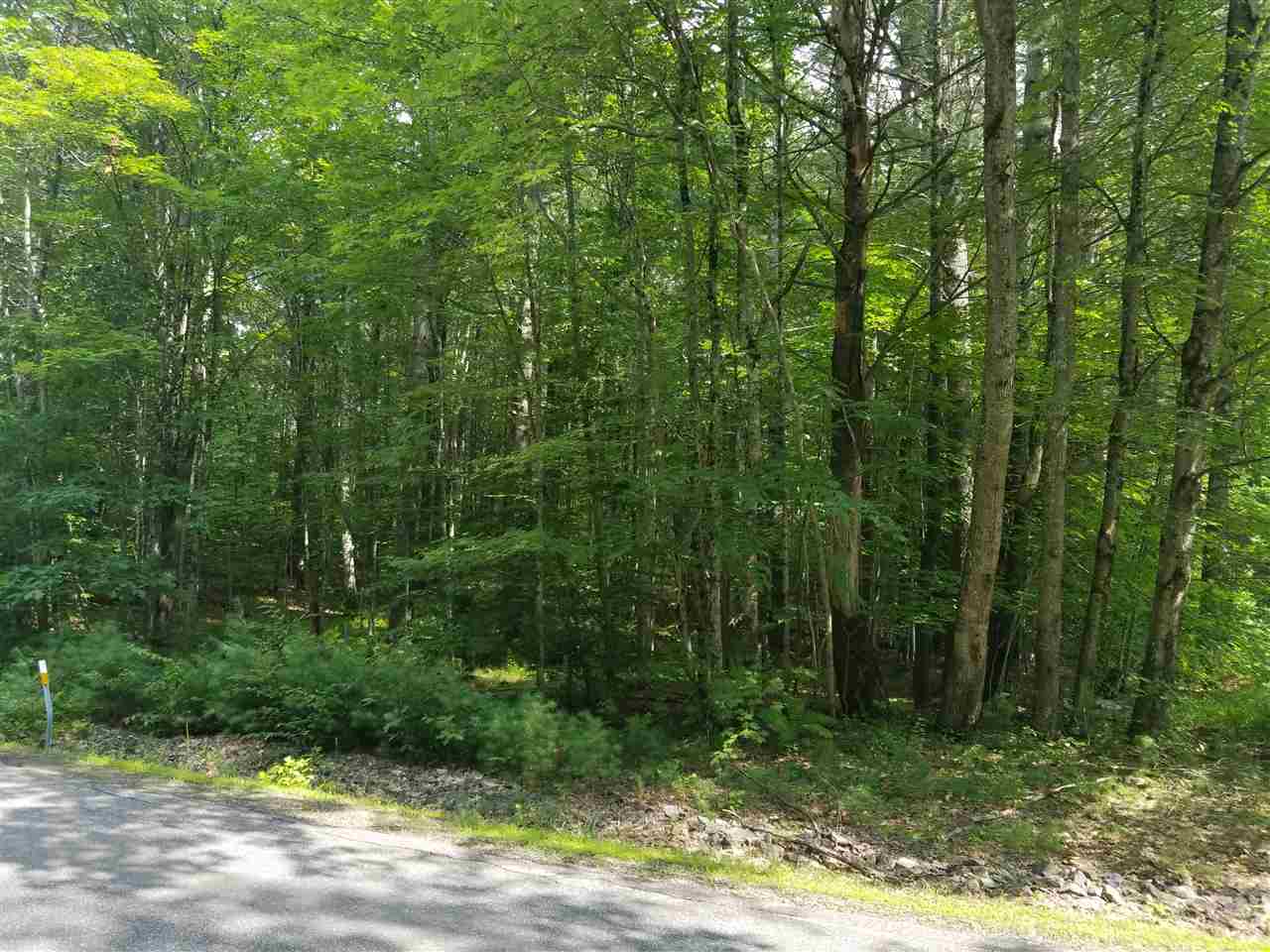 62 Forest Pond Road New Hampton, NH 03256 - Photo 3 of 12