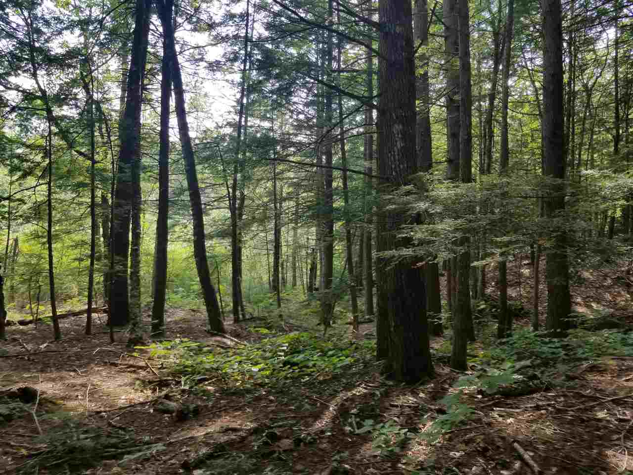 62 Forest Pond Road New Hampton, NH 03256 - Photo 5 of 12