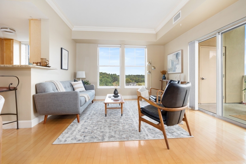 36 Village Road, Unit 601 Middleton, MA 01949 - Photo 12 of 42 Gallery Image 12