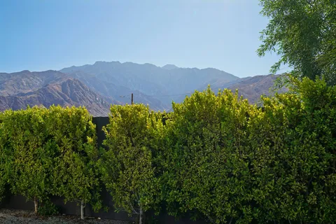 $849,000 | 386 Rosa Parks Road, Palm Springs, CA 92262