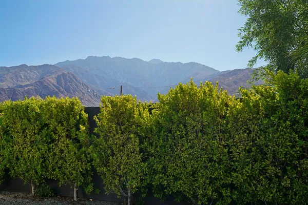 $799,000 | 386 Rosa Parks Road, Palm Springs, CA 92262