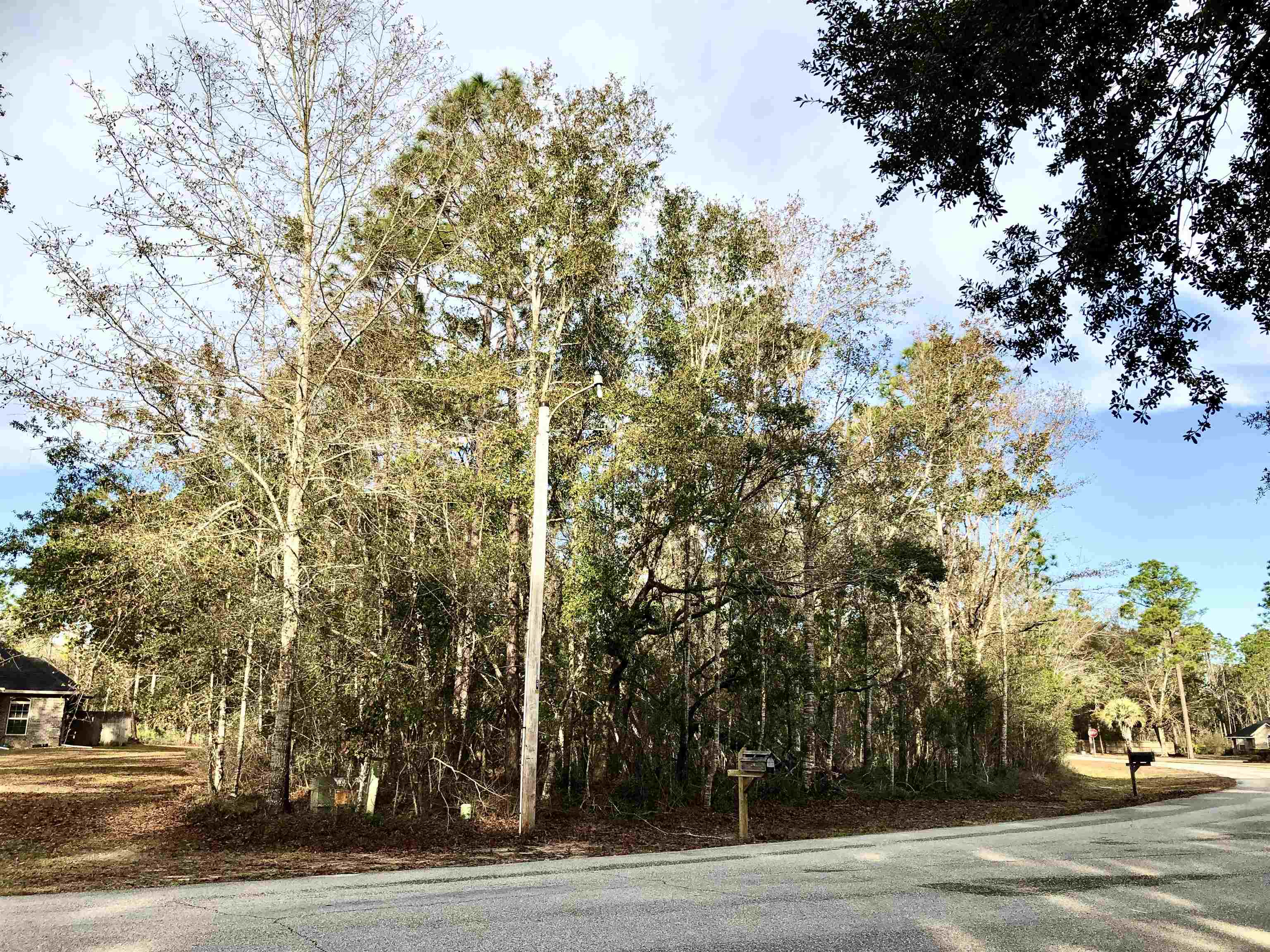 0 Forest Drive Foley, AL 36535 - Photo 2 of 5