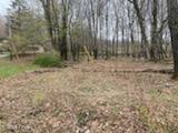 45 Lake Russell Road Newfoundland, PA 18445 - Photo 5 of 8