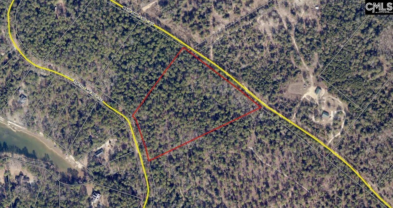 0 Edisto Lake Road Wagener, SC 29164 - Photo 2 of 6