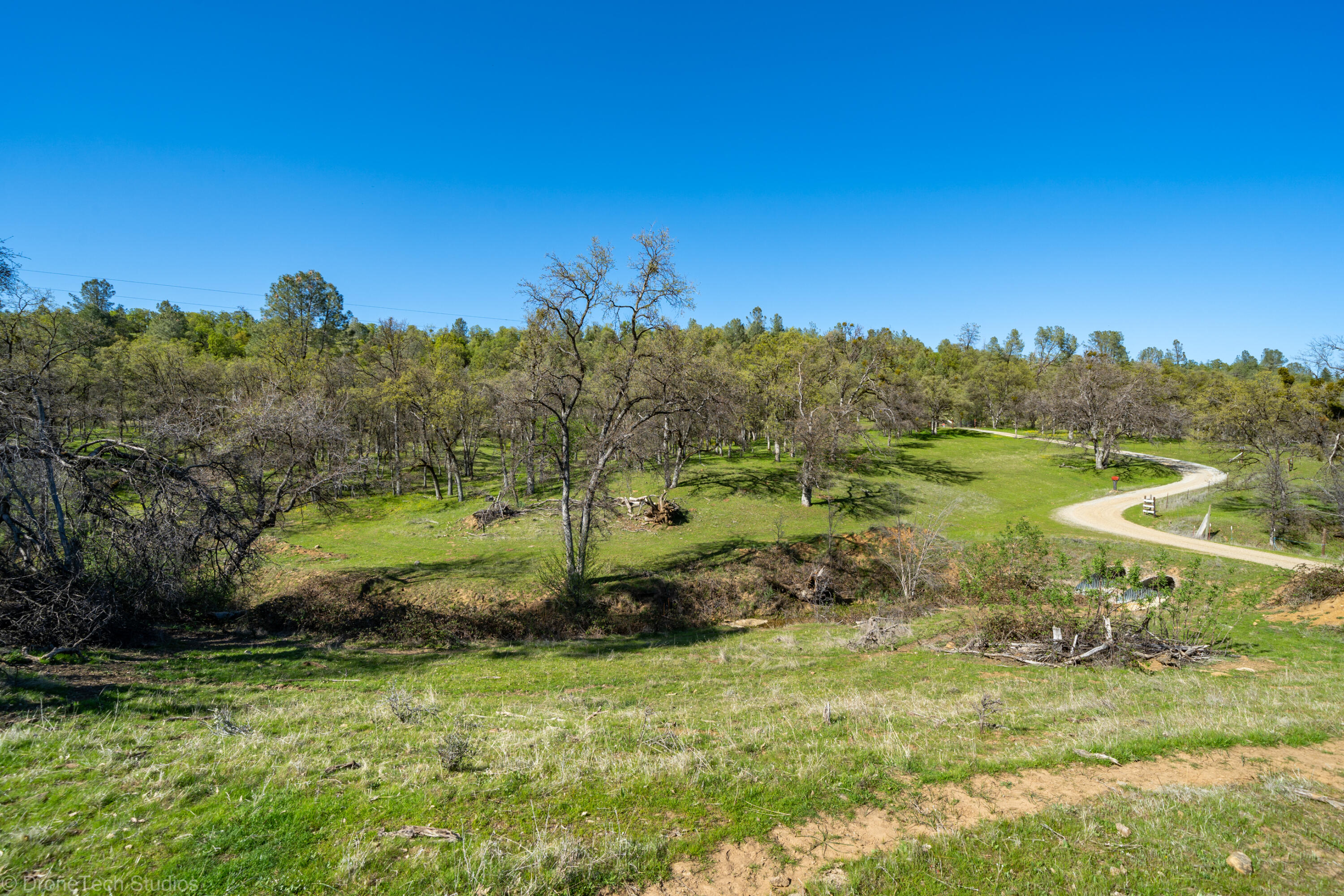 40-acres Whitmore Road Whitmore, CA 96096 - Photo 25 of 92 099-360-068-19