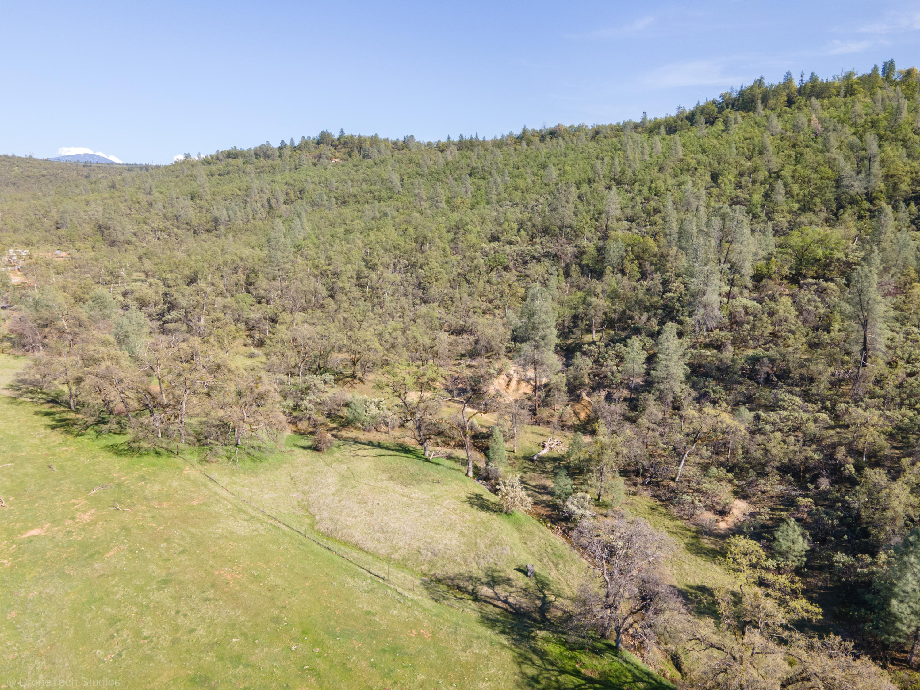 40-acres Whitmore Road Whitmore, CA 96096 - Photo 54 of 92 Drone-22