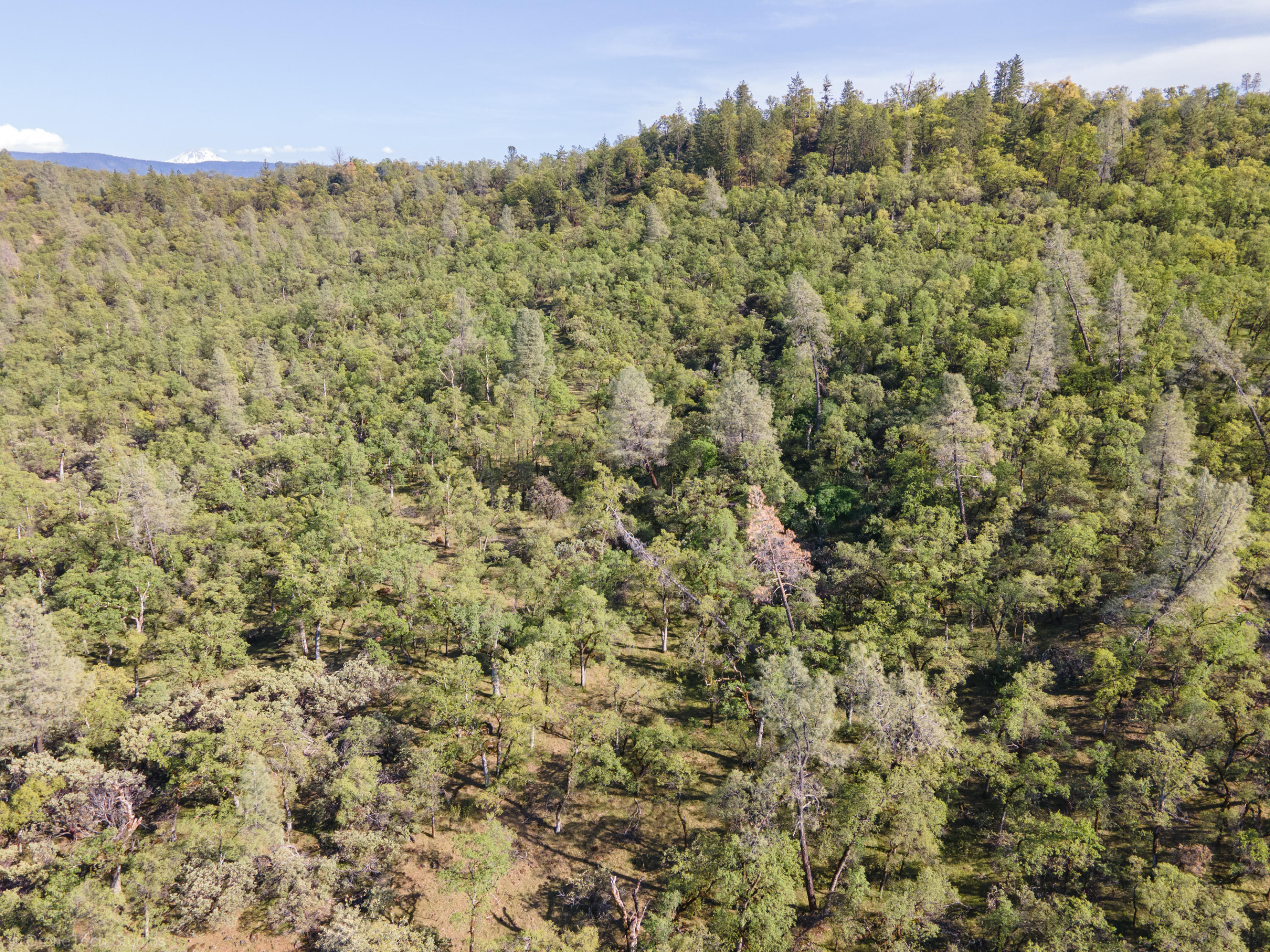 40-acres Whitmore Road Whitmore, CA 96096 - Photo 60 of 92 Drone-28