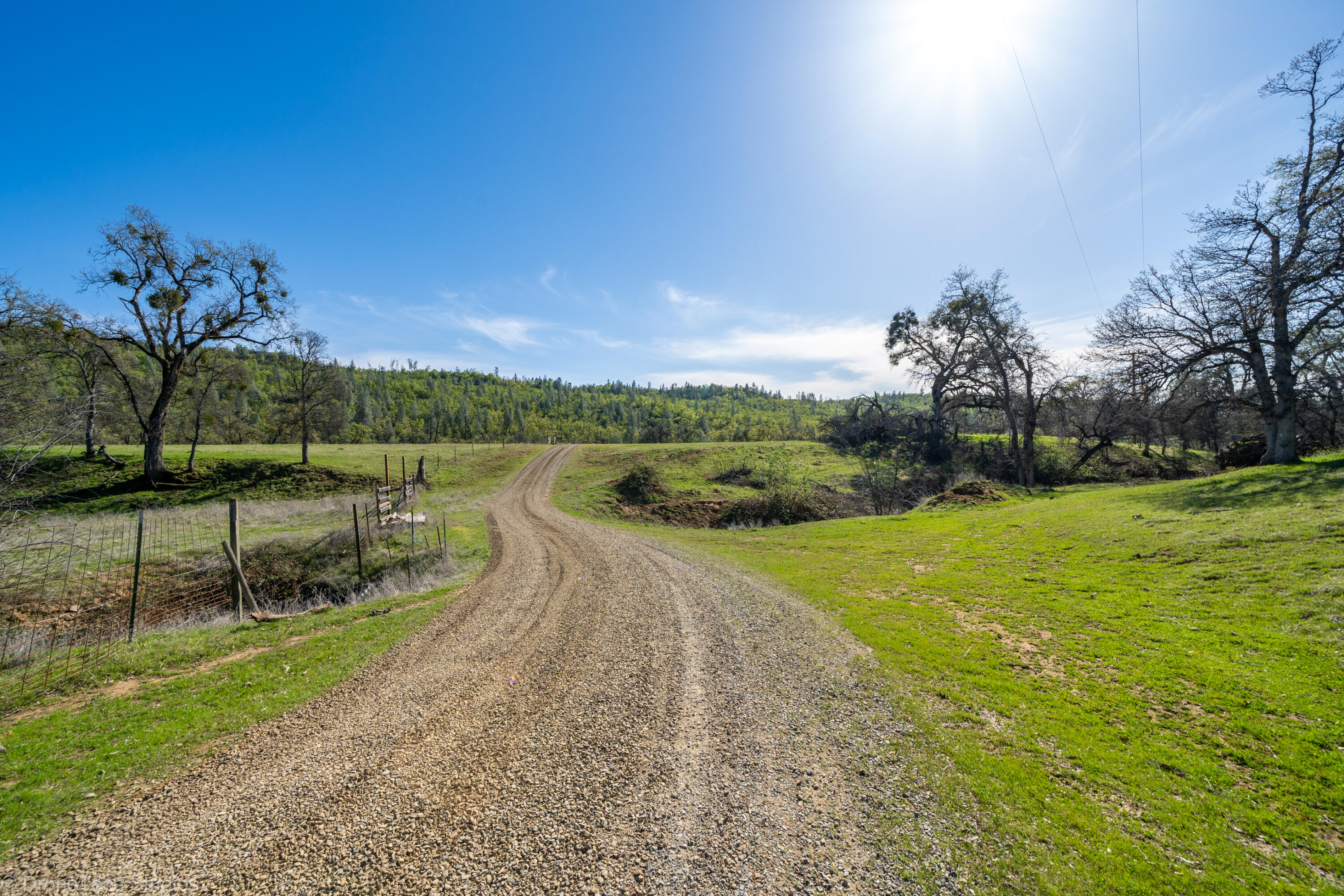 40-acres Whitmore Road Whitmore, CA 96096 - Photo 8 of 92 099-360-068-2