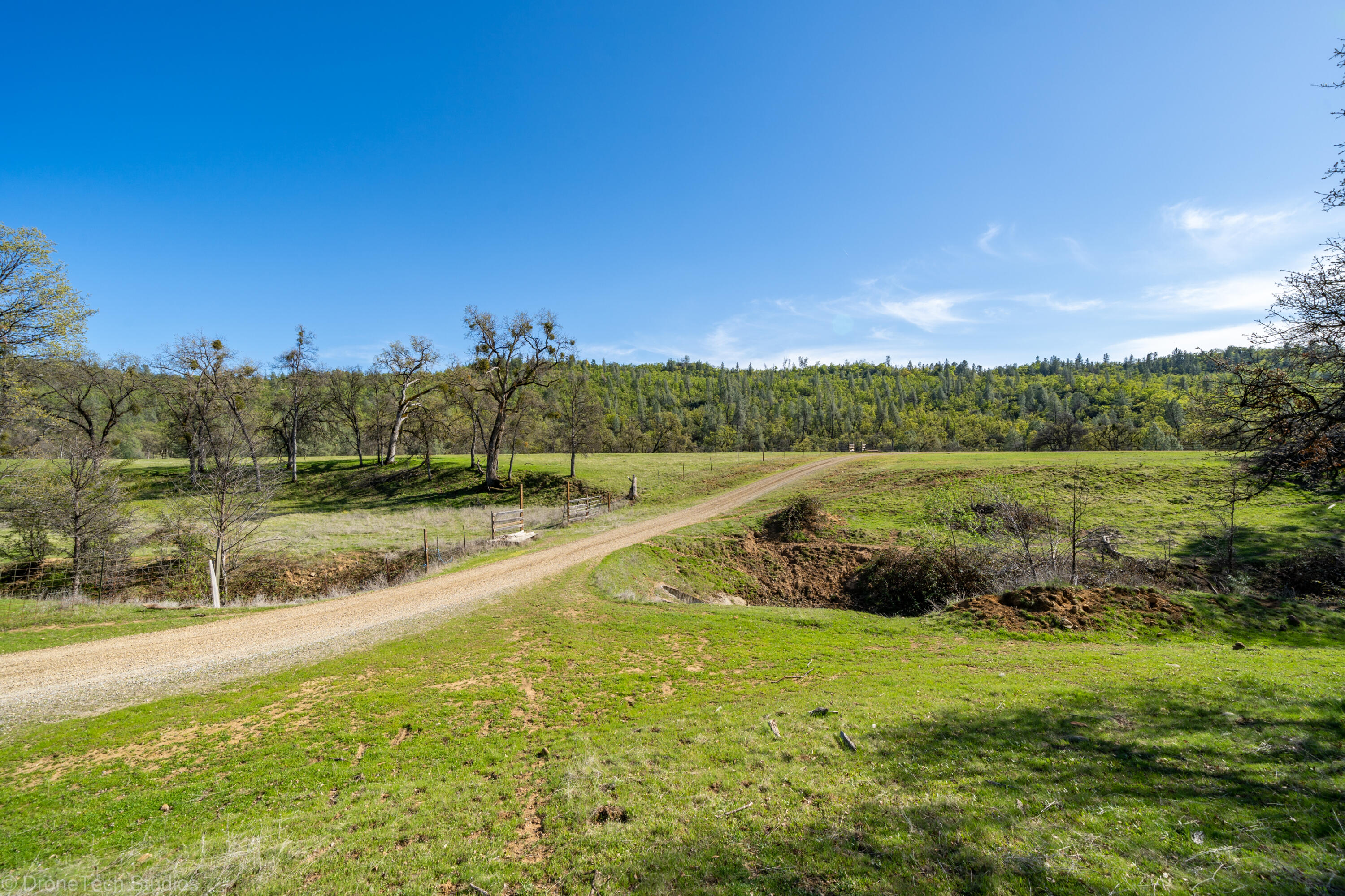 40-acres Whitmore Road Whitmore, CA 96096 - Photo 9 of 92 099-360-068-3
