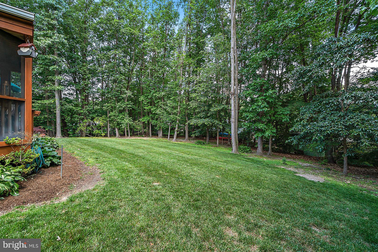 8804 Side Saddle Road Springfield, VA 22152 - Photo 35 of 37 Backyard View w/Landscaped Trees along Back Fence