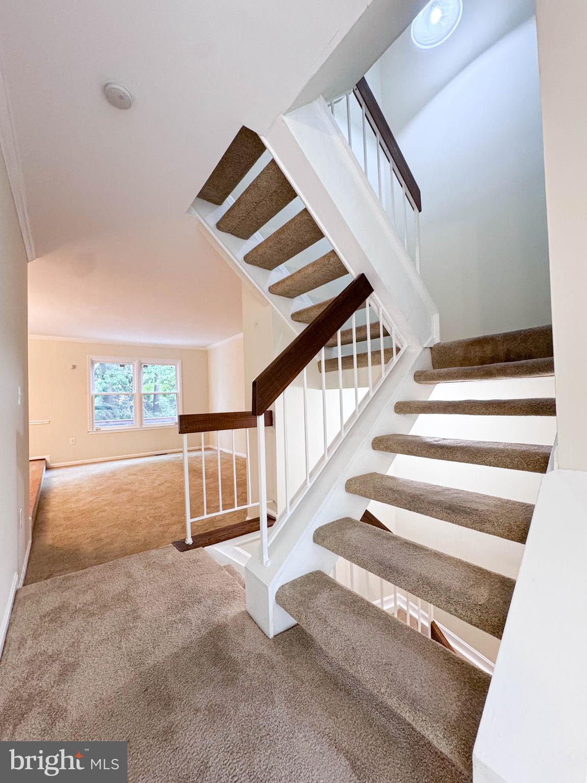 10939 Pebble Run Drive Silver Spring, MD 20902 - Photo 52 of 92