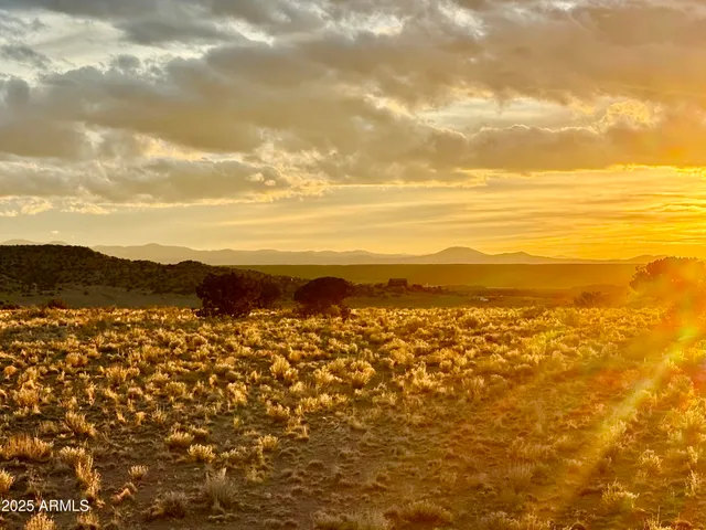 a view of an ocean and beach