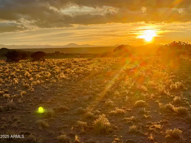 a view of a city with mountains in the background