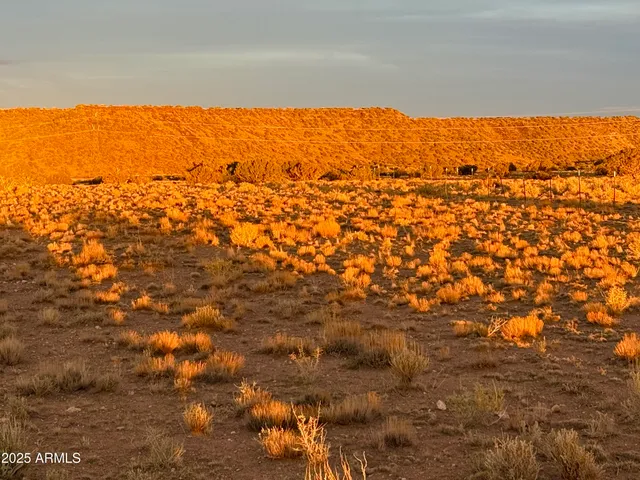 a view of a large building