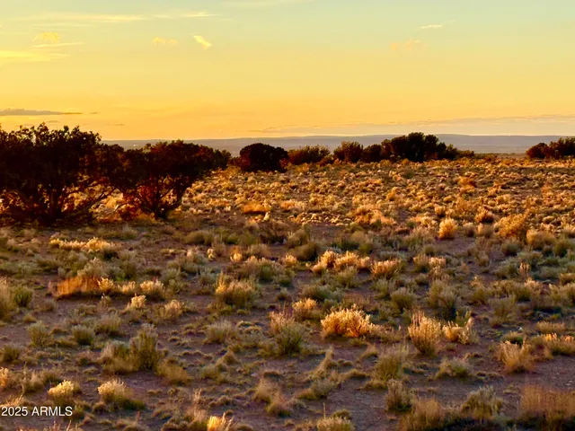 a view of an ocean and beach