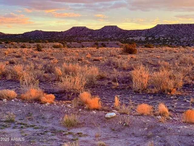 $22,500 | N6422 36.22 Acres St-johns Az 85936, St. Johns, AZ 85936