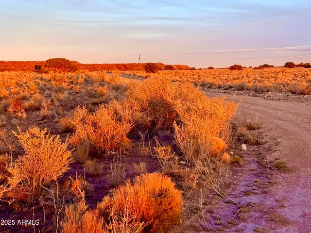 a view of lake and mountain