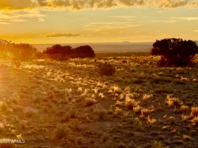 a view of an ocean beach and mountain