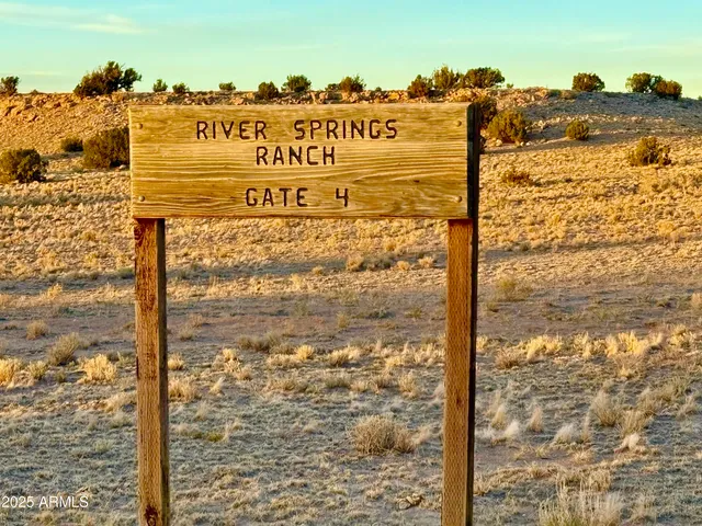 a view of a city with mountains in the background
