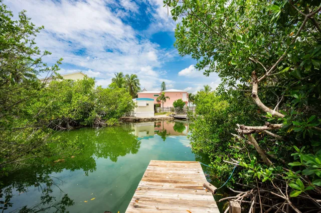 a view of a yard with plants and a large tree