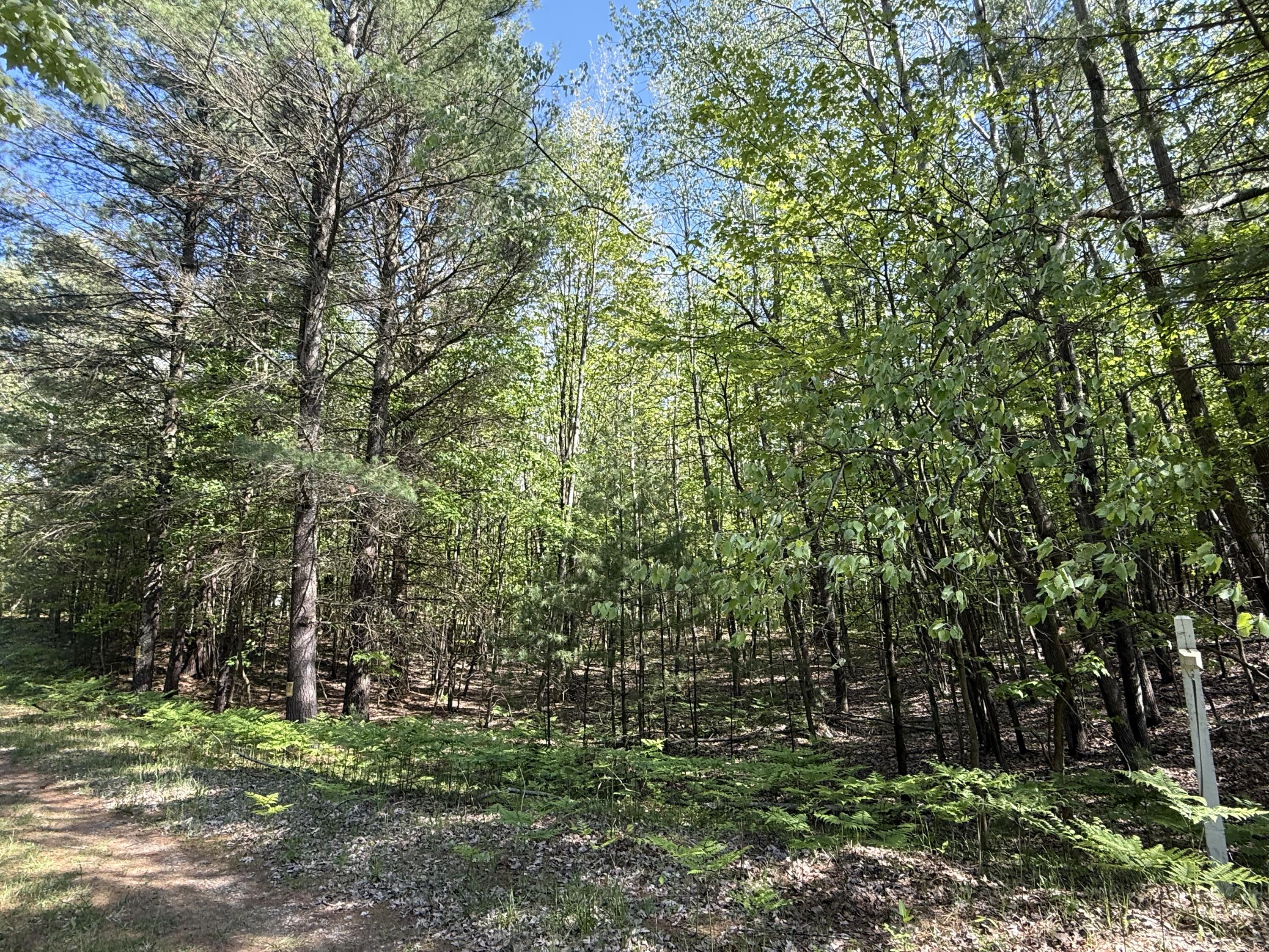3.75-acres Wayne Road Pentwater, MI 49449 - Photo 2 of 12 IMG_0679