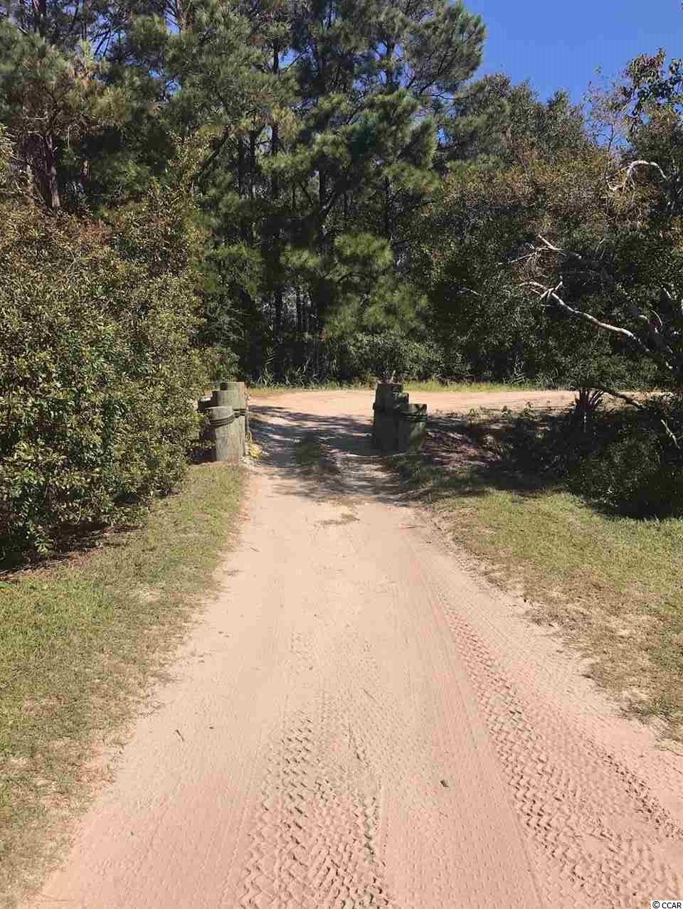 Lot 17 Permit Court Georgetown, SC 29440 - Photo 3 of 15 Gallery Image 3