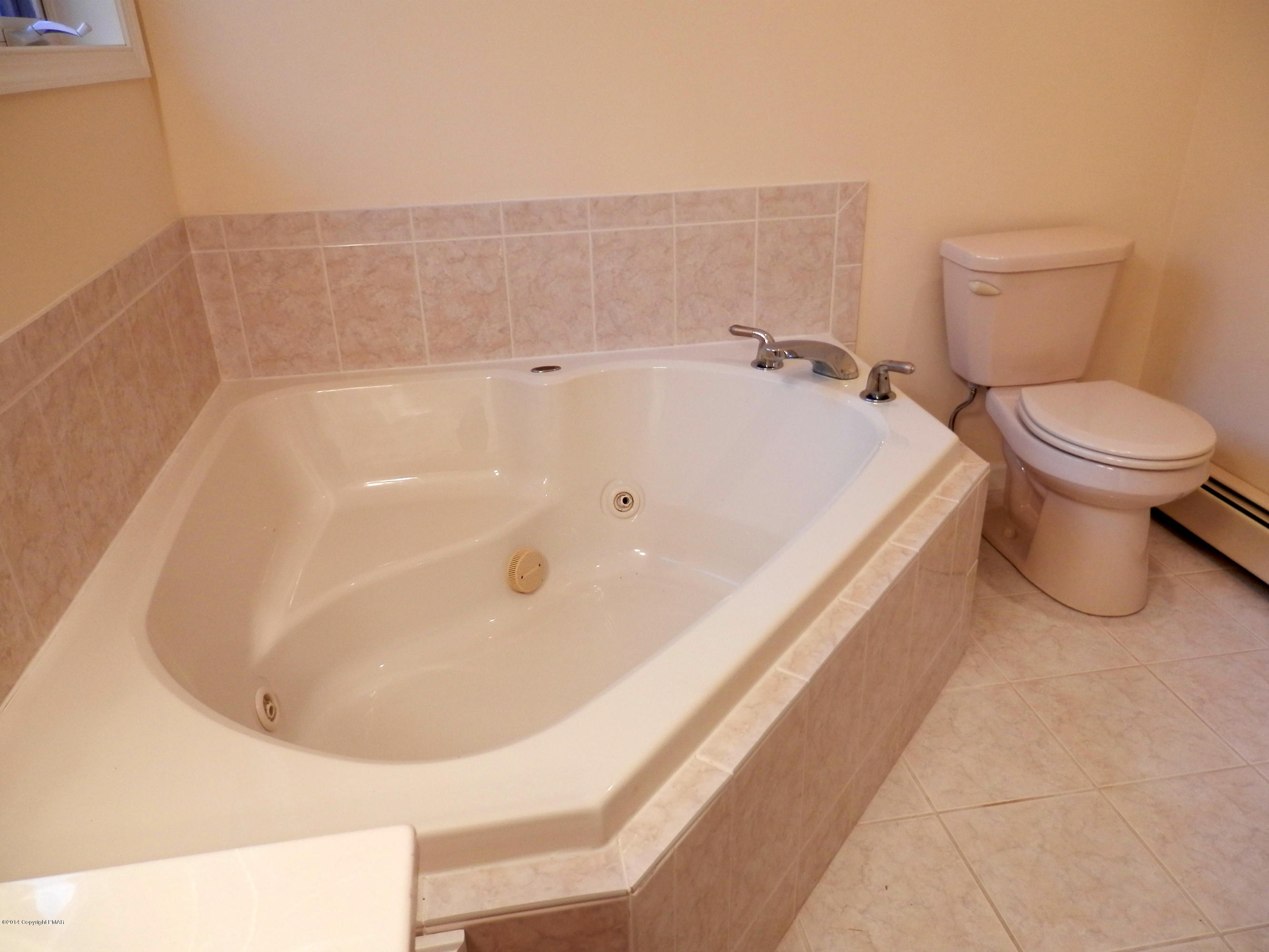 133 Mount Ranier Road Effort, PA 18330 - Photo 19 of 29 master bath whirlpool