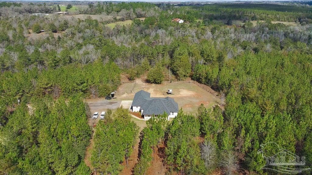 11278 Old Pine Loop Road Jay, FL 32565 - Photo 35 of 45