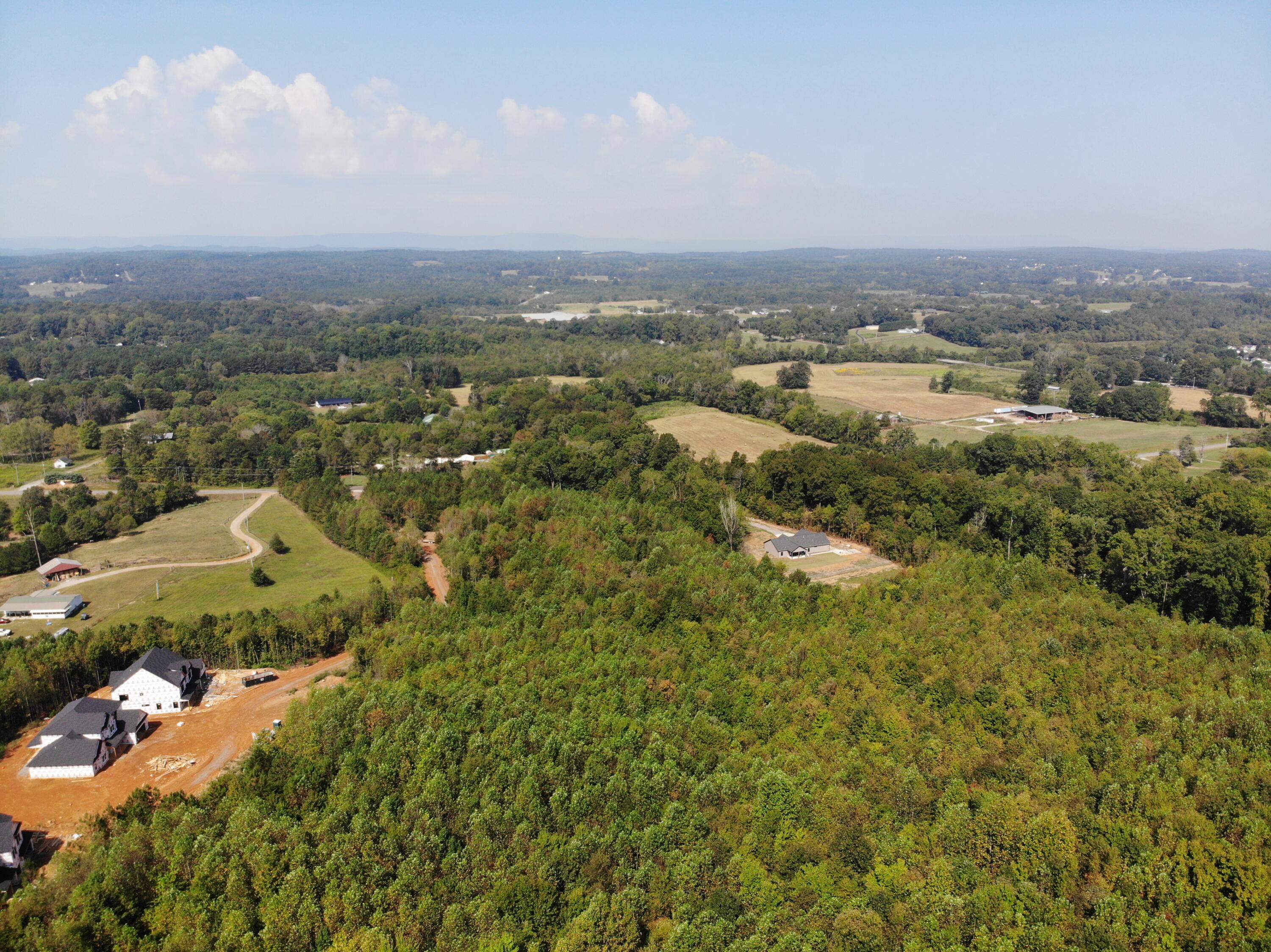 0 Alabama Highway Rock Spring, GA 30739 - Photo 3 of 4 DJI_0147