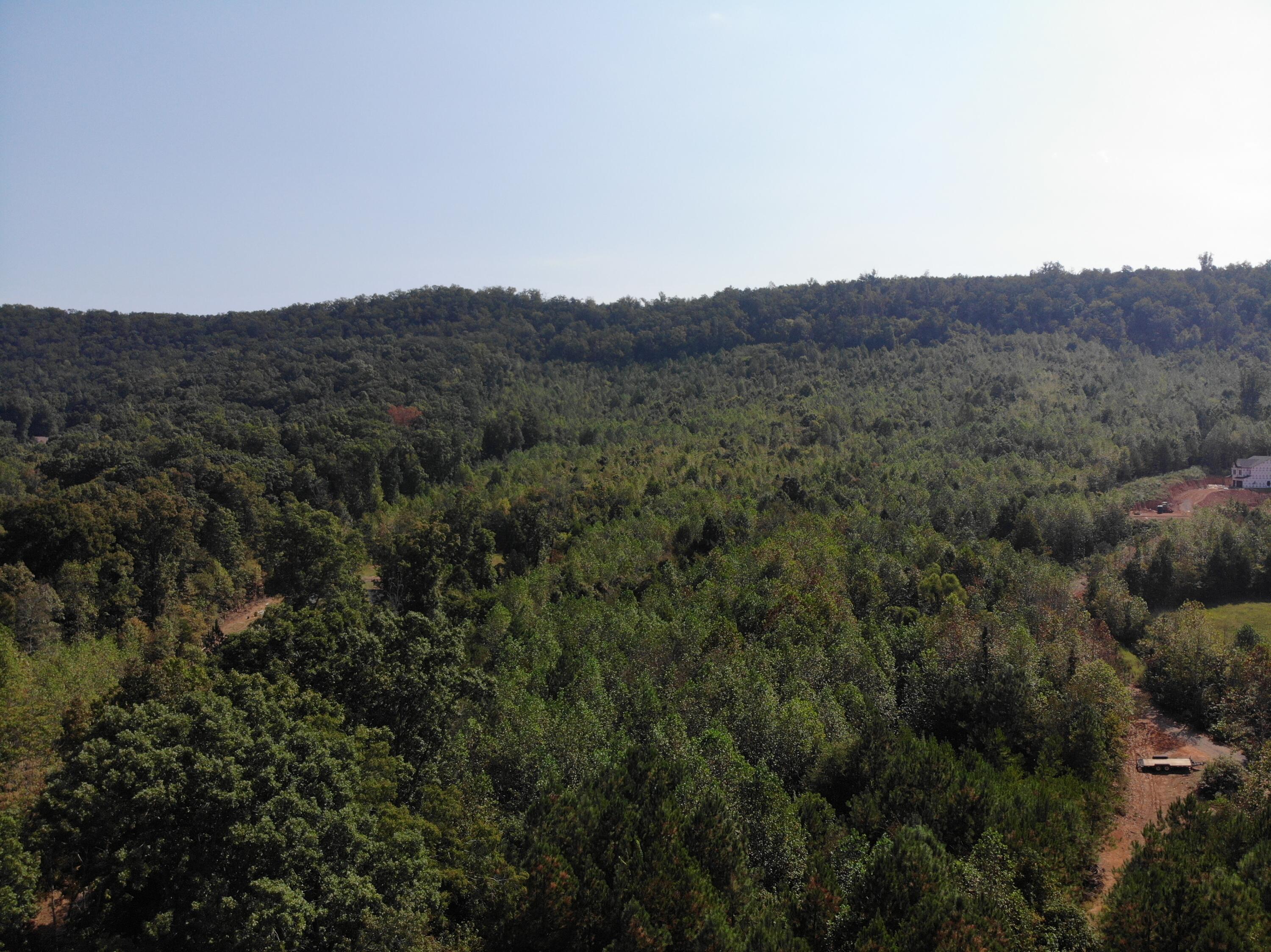 0 Alabama Highway Rock Spring, GA 30739 - Photo 4 of 4 DJI_0149