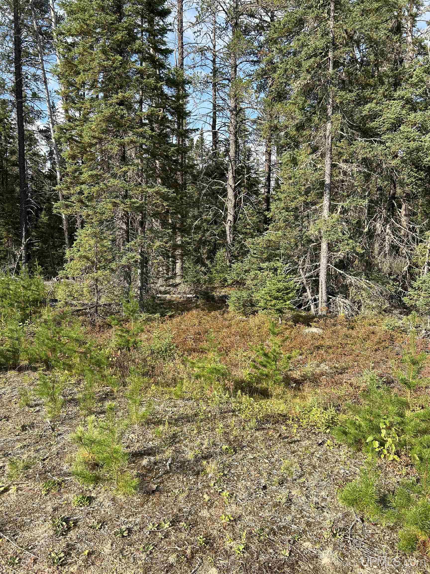 573 Rd Ishpeming Mi 49849 Road Ishpeming, MI 49849 - Photo 3 of 15