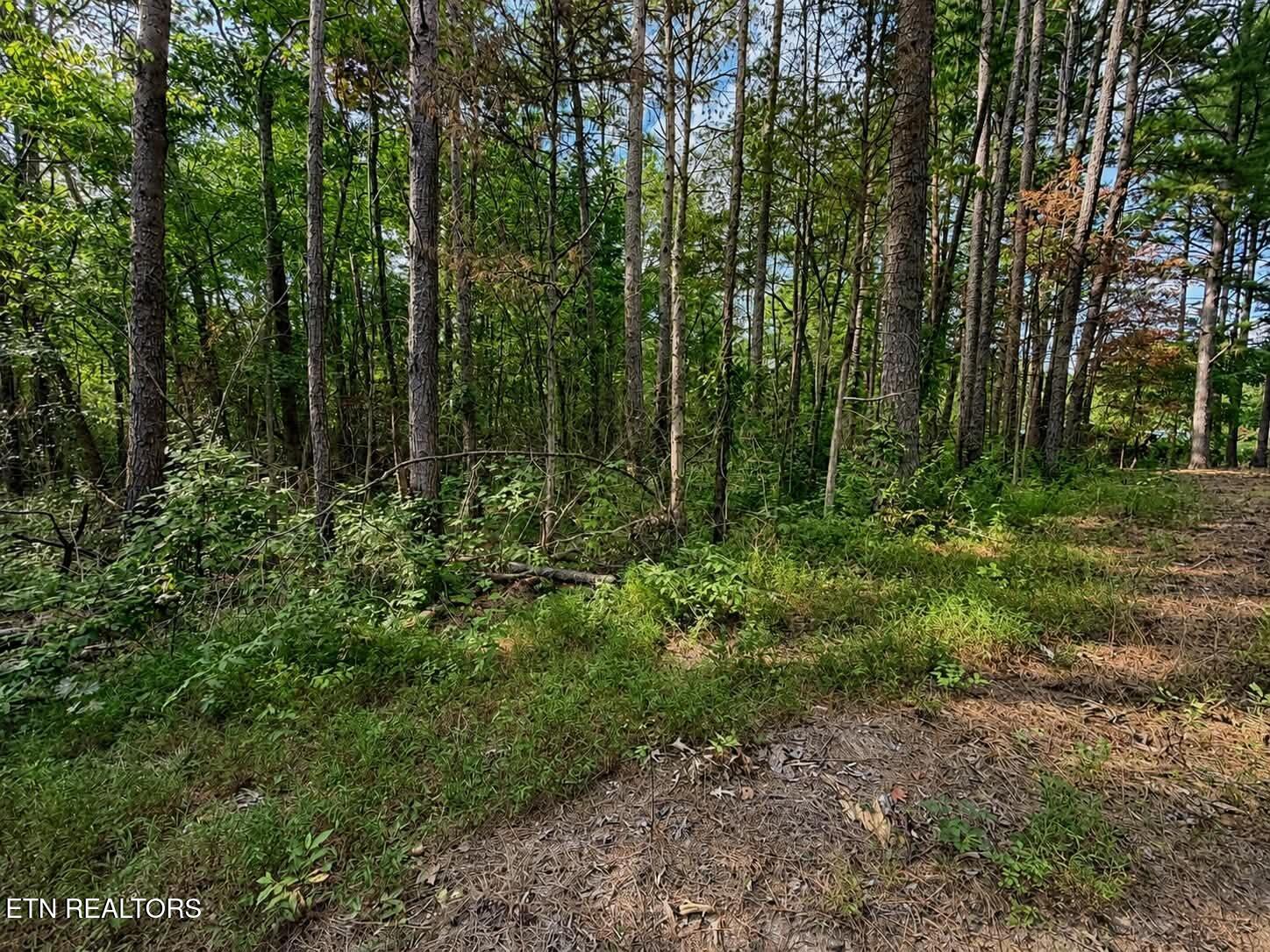 Judd Lane Decatur, TN 37322 - Photo 4 of 5 38ef4fa2-5f96-48bb-8a83-b6c8520d0c84