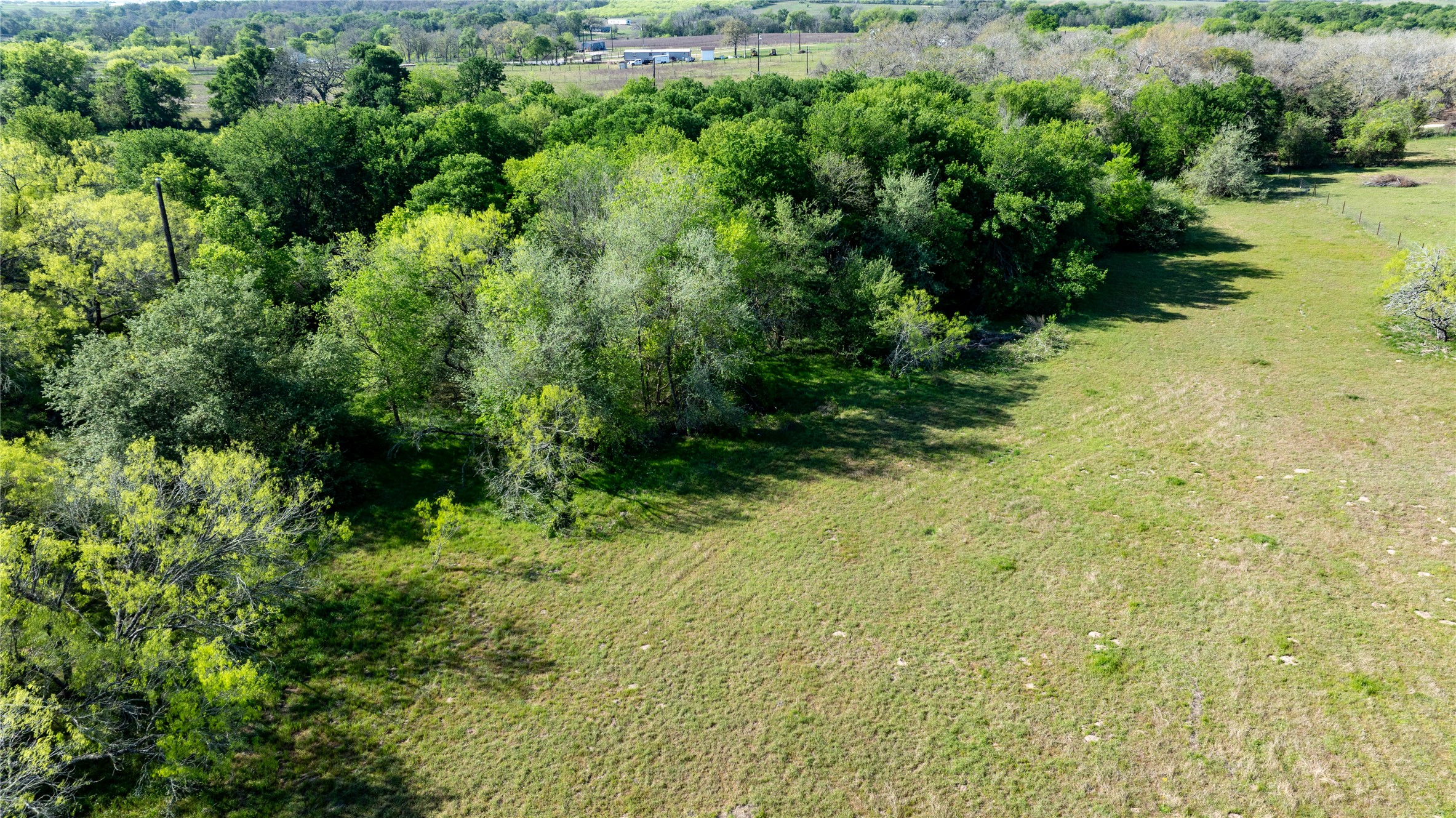 6575 Taylorsville Road Dale, TX 78616 - Photo 14 of 15 A tranquil expanse of green pasture bordered by a lush treeline, ideal for a private estate.