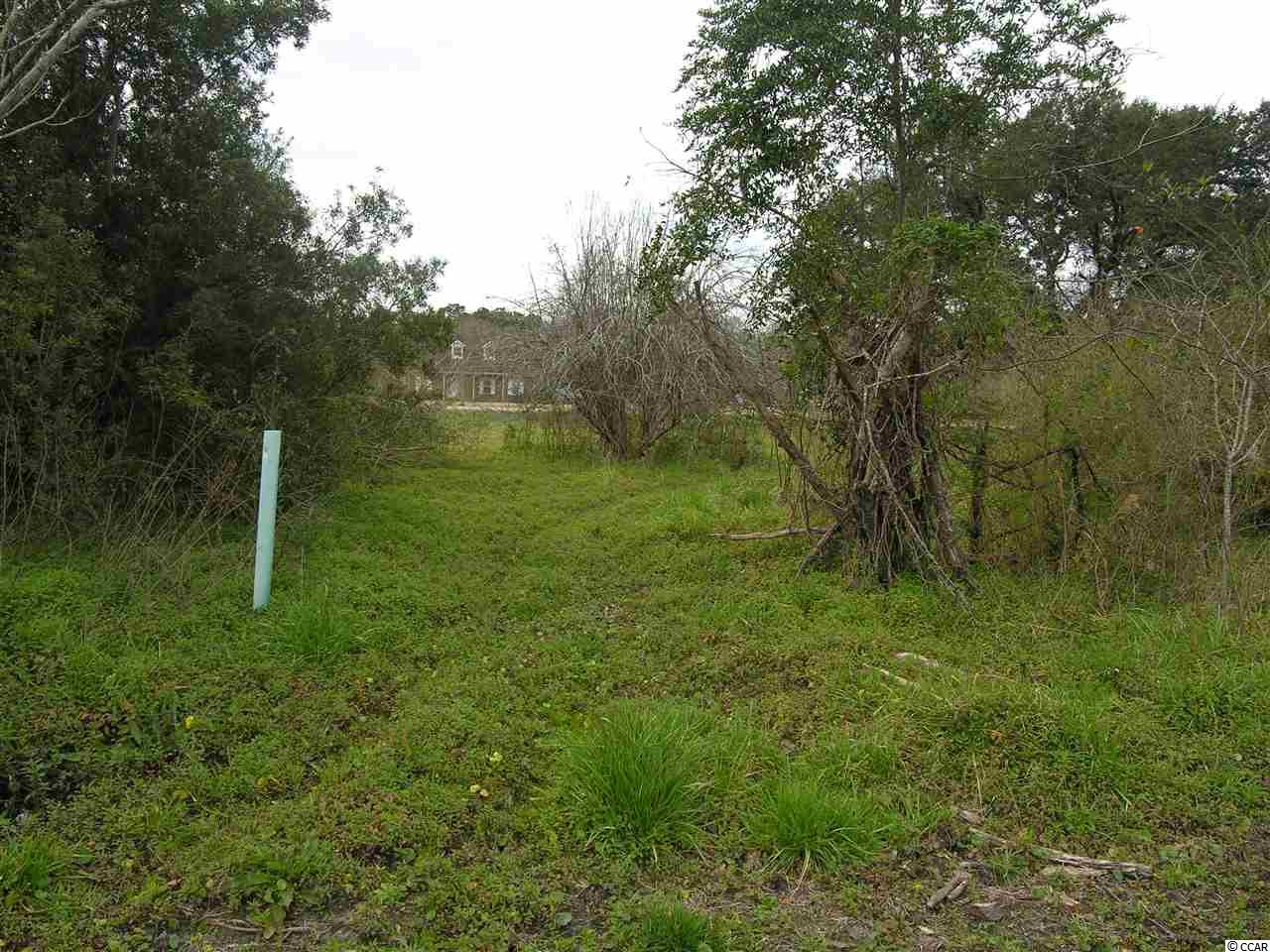Moss Creek Road Myrtle Beach, SC 29588 - Photo 11 of 13