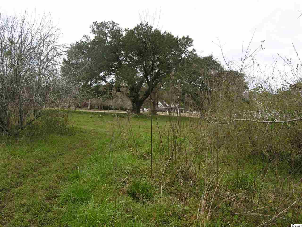 Moss Creek Road Myrtle Beach, SC 29588 - Photo 12 of 13