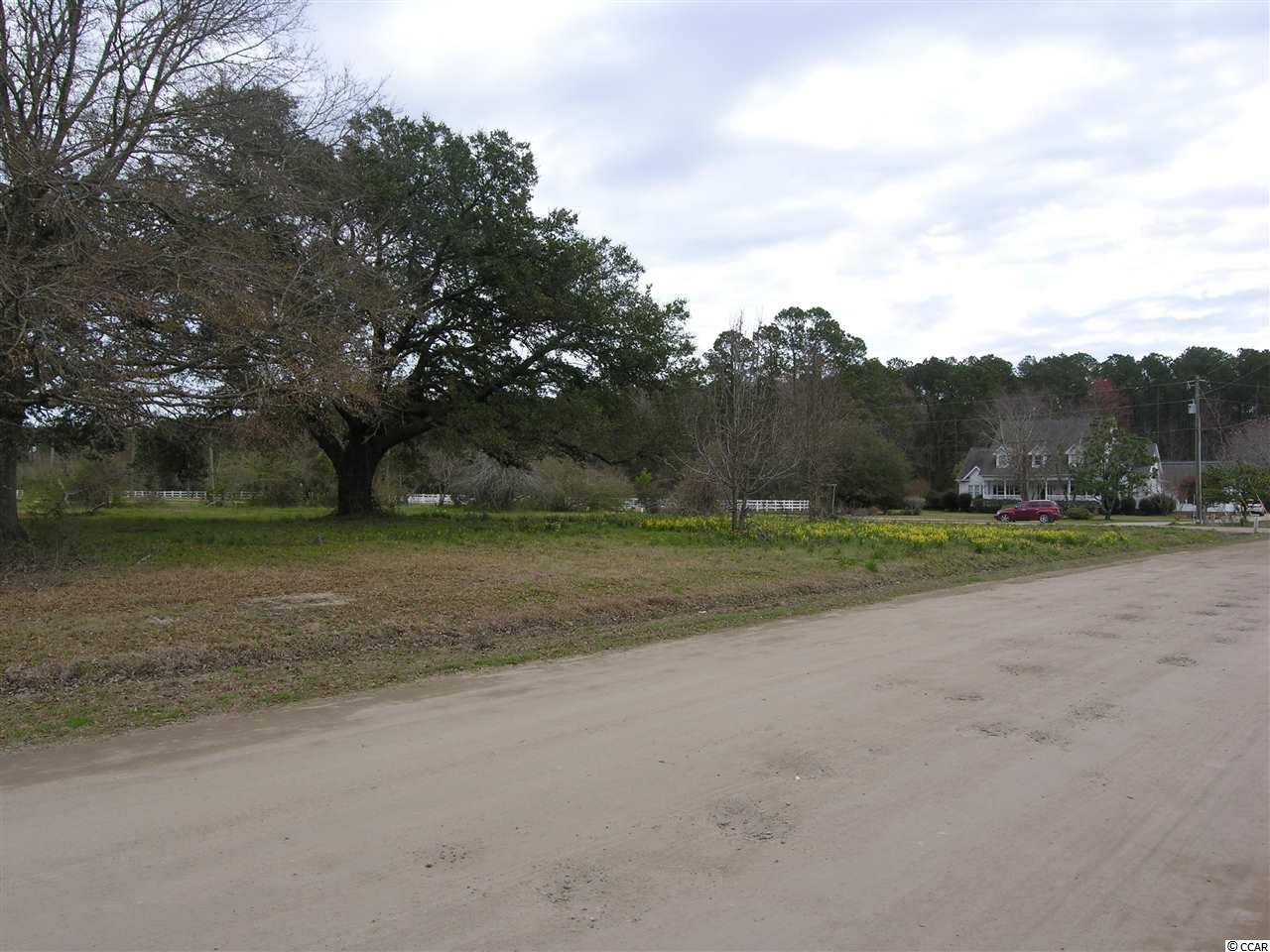 Moss Creek Road Myrtle Beach, SC 29588 - Photo 3 of 13