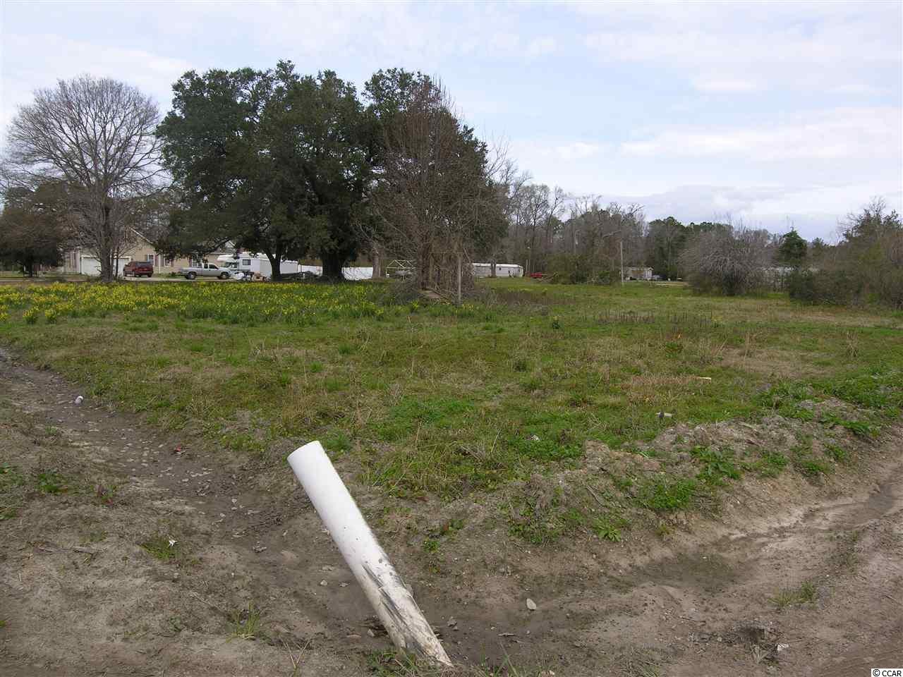 Moss Creek Road Myrtle Beach, SC 29588 - Photo 6 of 13