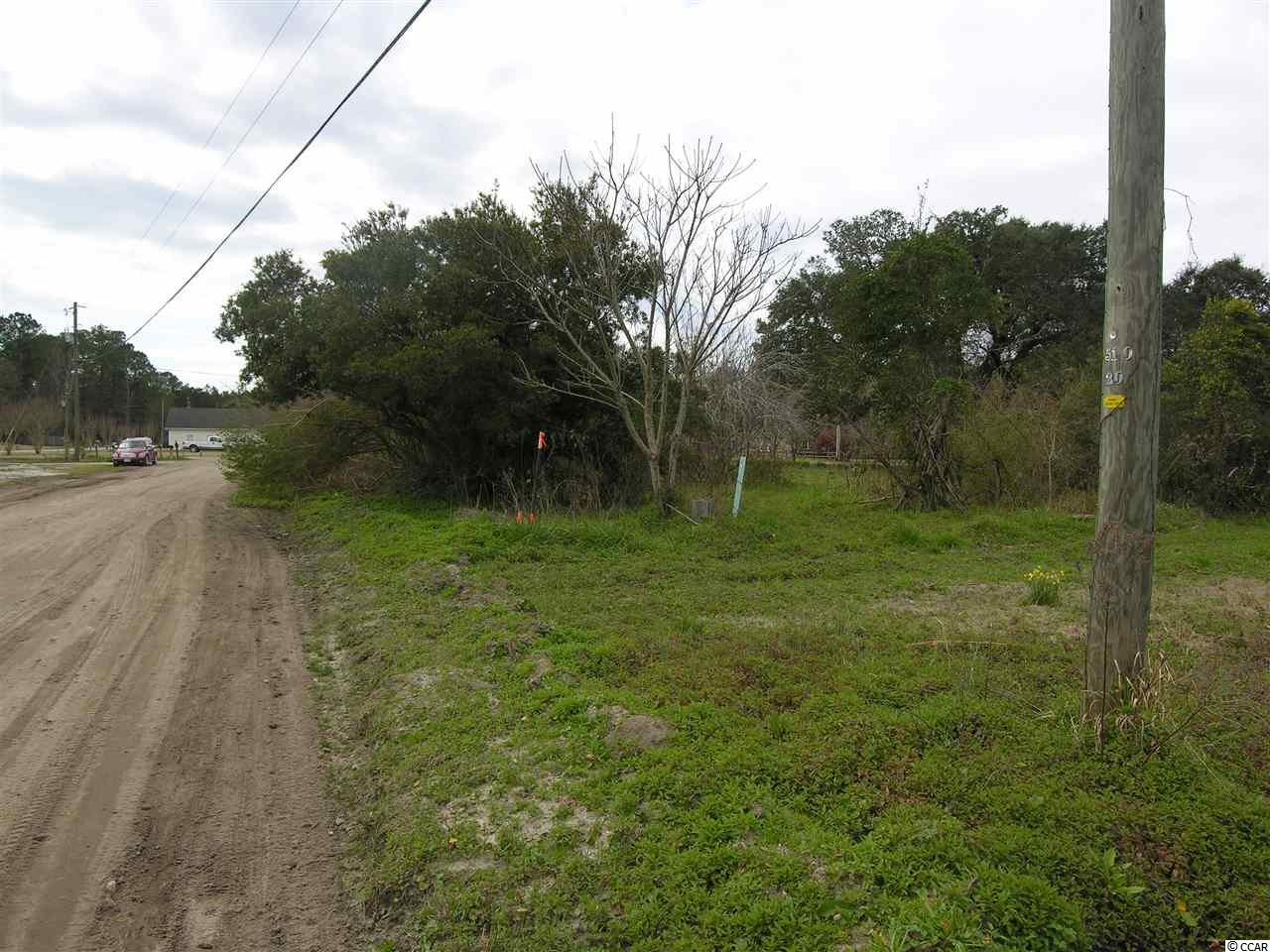 Moss Creek Road Myrtle Beach, SC 29588 - Photo 9 of 13