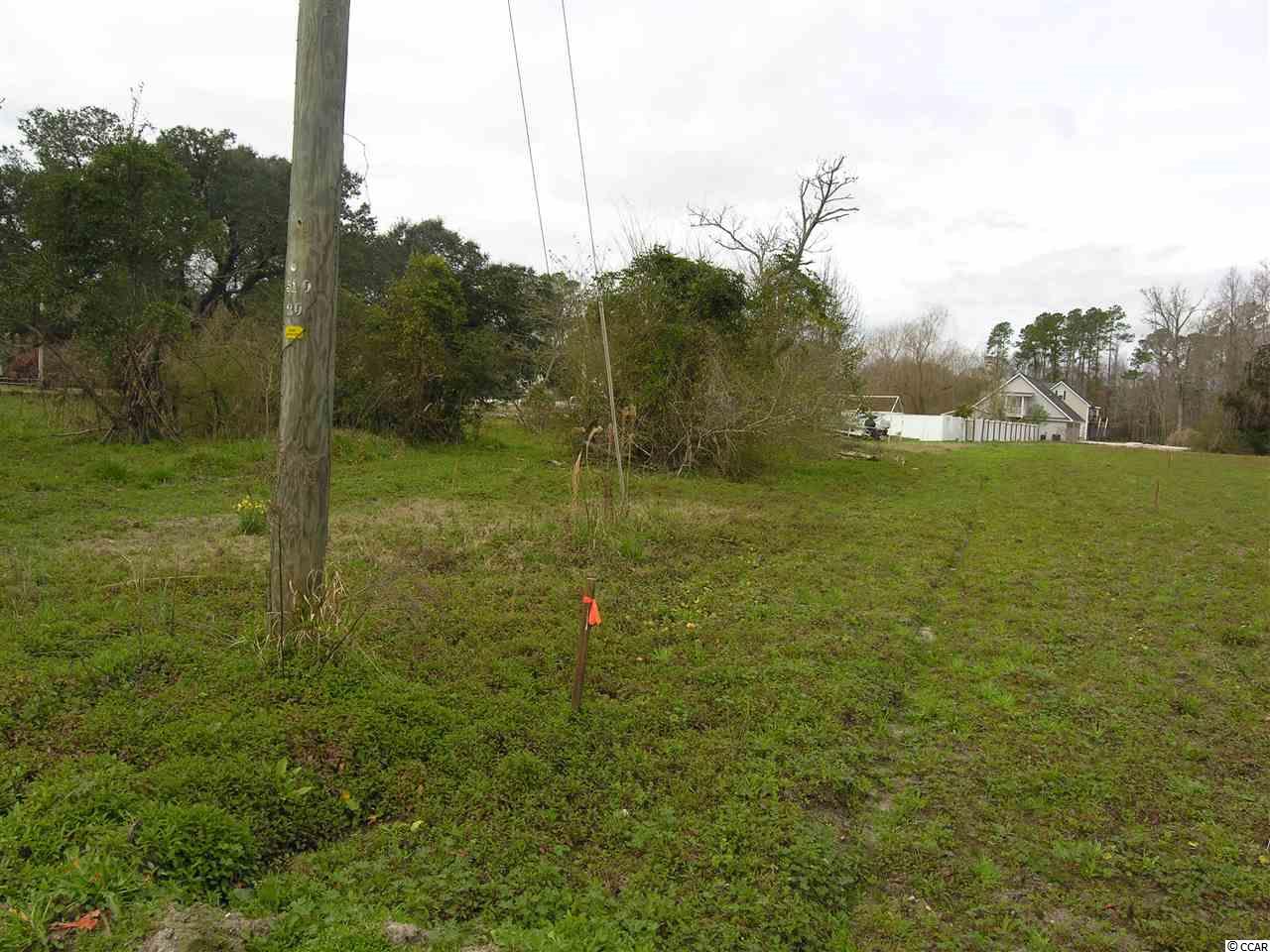 Moss Creek Road Myrtle Beach, SC 29588 - Photo 10 of 13
