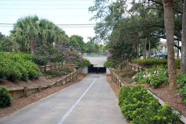 a view of a street with palm trees