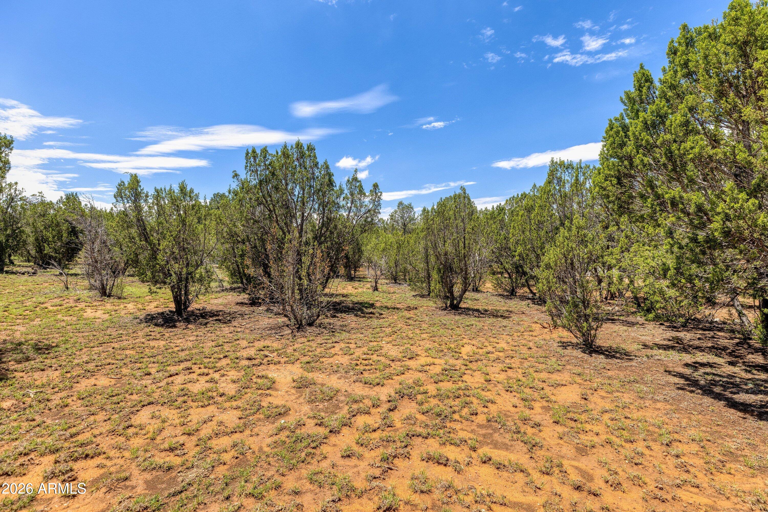 2277 Sunrise Road, Unit 361 Overgaard, AZ 85933 - Photo 8 of 14 2277 Sunrise Rd (8)
