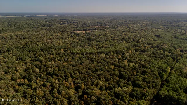 $252,000 | Padgett Drive, Enid, MS 38927