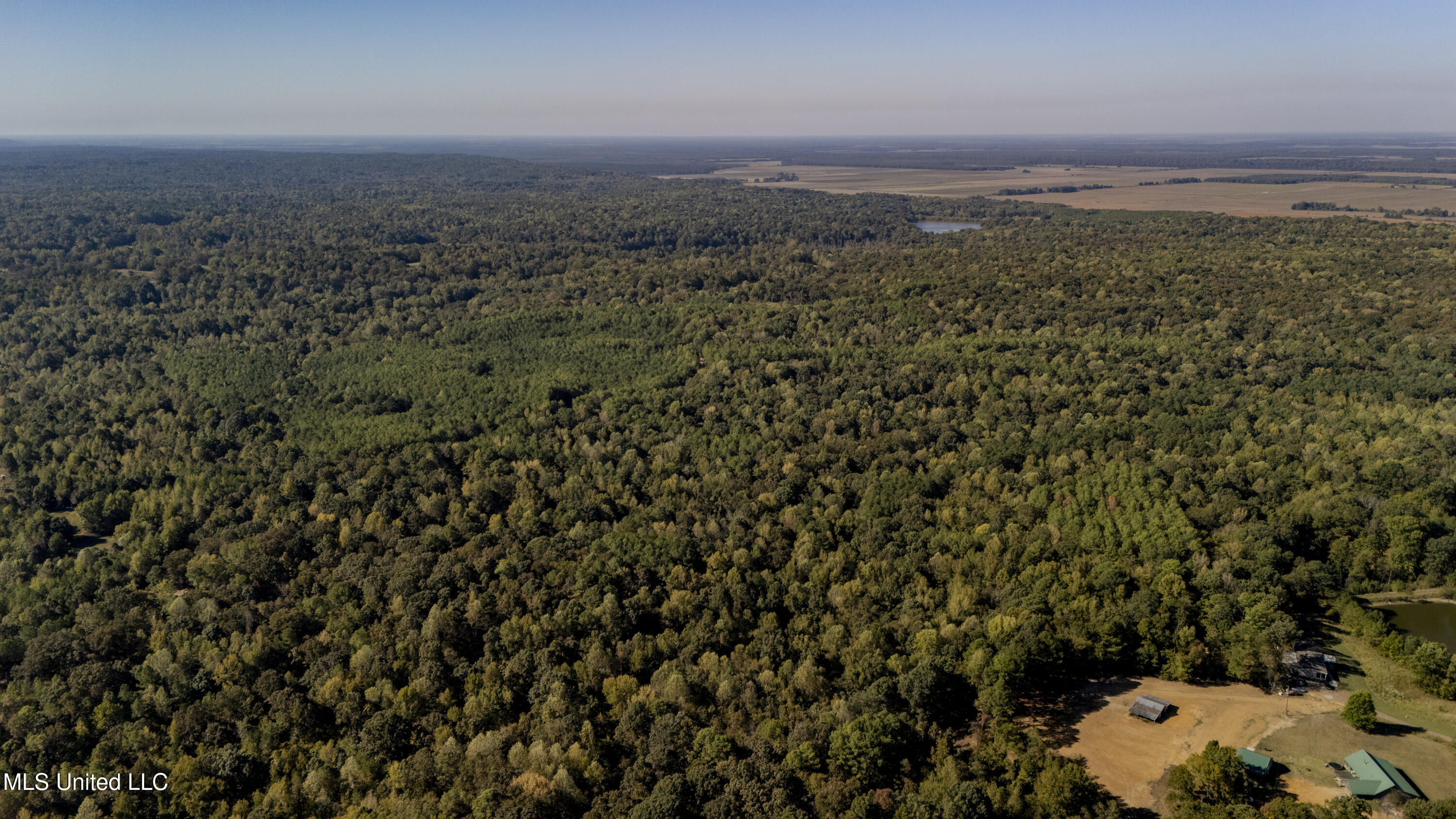 Padgett Drive Enid, MS 38927 - Photo 4 of 9 110 acre -48