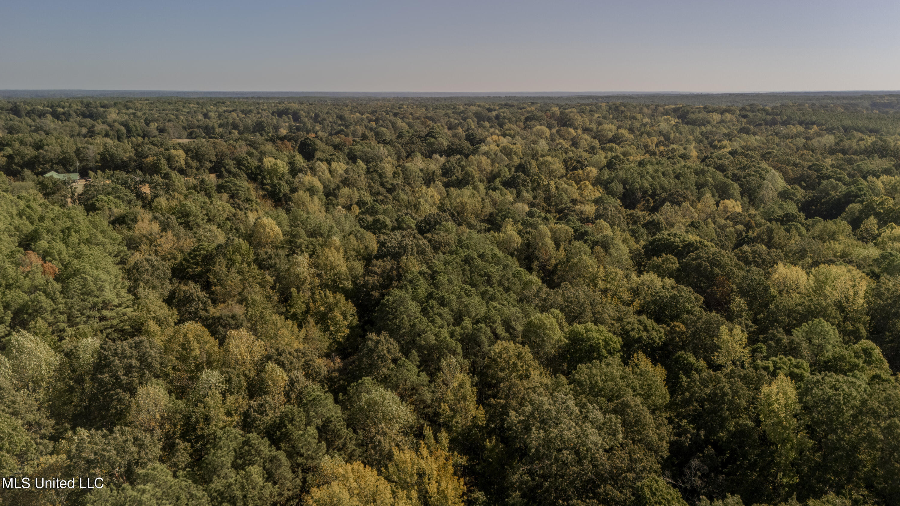 Padgett Drive Enid, MS 38927 - Photo 5 of 9 110 acre -49